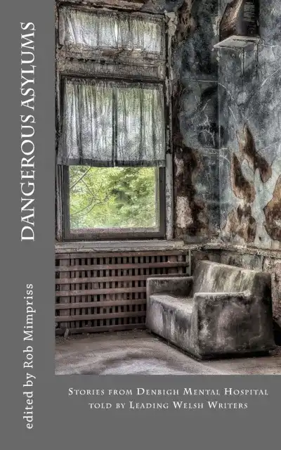 Cover of Dangerous Asylums