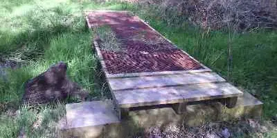 Photograph of small footbridge across stream, with owl droppings to the fore